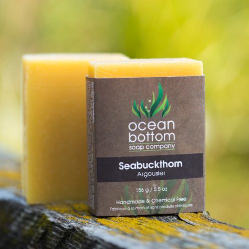 Sea Buckthorn - Ocean Bottom Soap Company