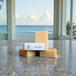 Patchouli Natural Bar Soap Stack with Ocean View