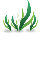 Ocean Bottom Soap Company logo