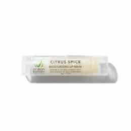 Citrus Spice Moisturizing Lip Balm (horizontal white background)