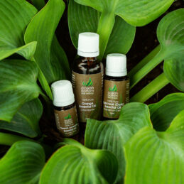 Essential Oils in 3 sizes