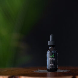 The Study Beard Oil 30ml