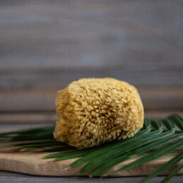 Urban Spa Natural Body Sponge