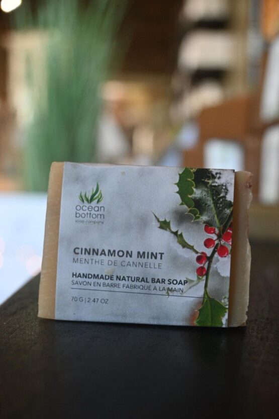 Cinnamon Mint Soap_