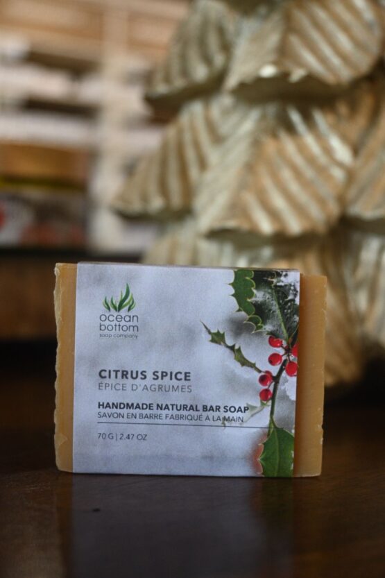 Citrus Spice Soap-