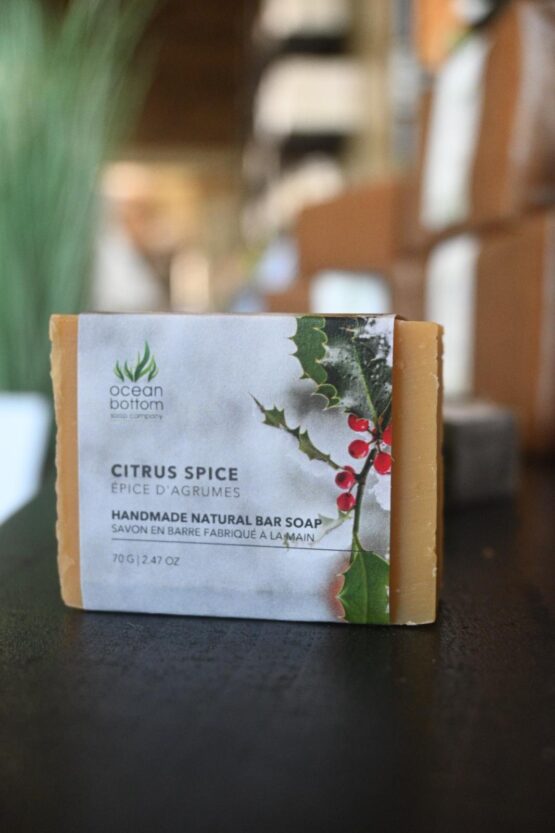 Citrus Spice Soap _70g