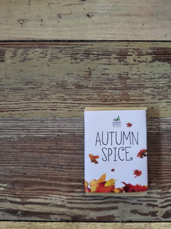 Autumn Spice Fall Soap