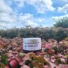 Autumn Spice Foaming Scrub