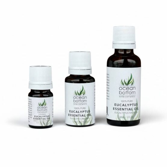 Eucalyptus Radiata 5ml 15ml 30ml