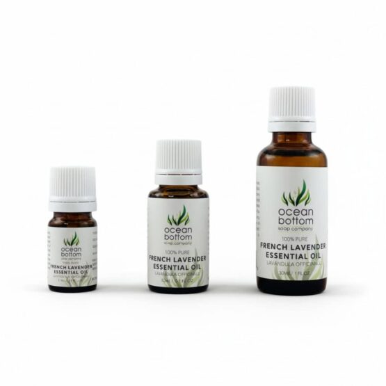 French Lavender Essential Oil (Lavandula officinalis) in 5ml, 15ml, and 30ml sizes