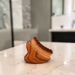 Lymphatic Facial Brush