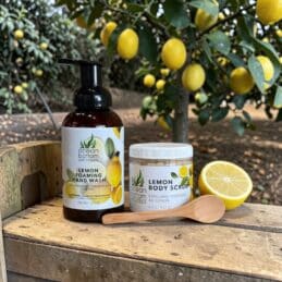 Fresh Squeeze Duo Lemon Foaming Hand Wash & Body Scrub