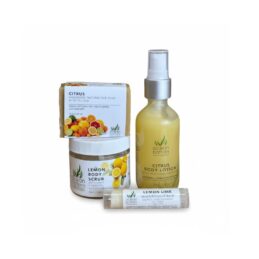 Fresh Squeezed Citrus Set